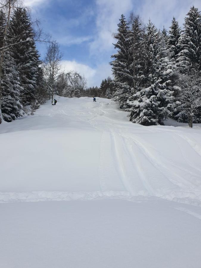 Chalet Chapeau Rar Castel Condino Екстер'єр фото