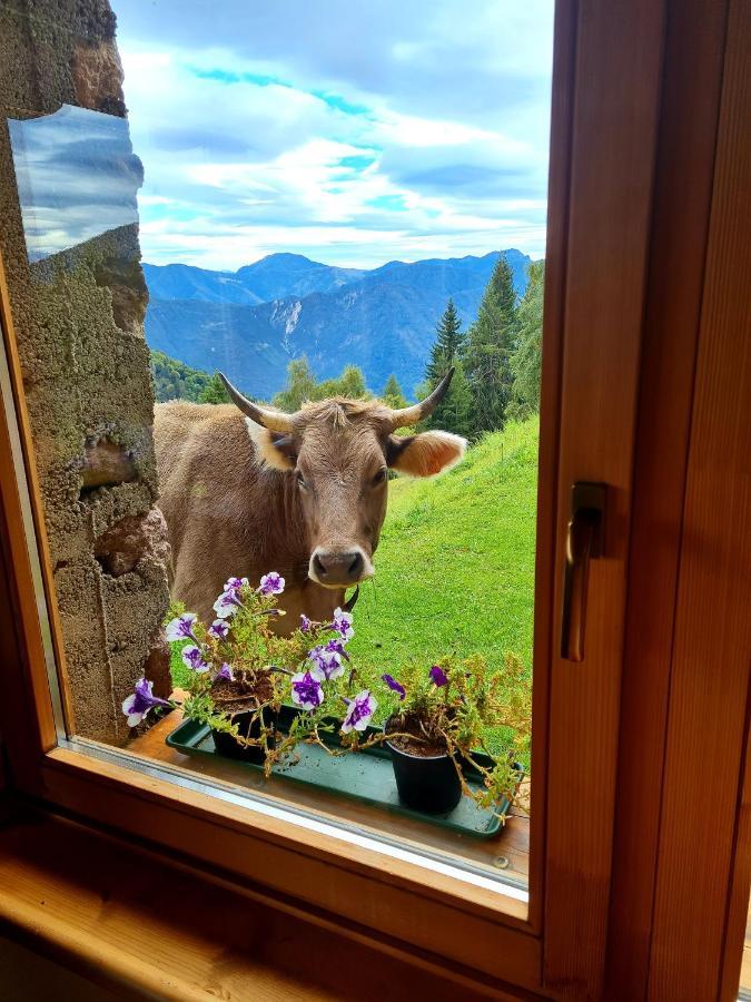 Chalet Chapeau Rar Castel Condino Екстер'єр фото