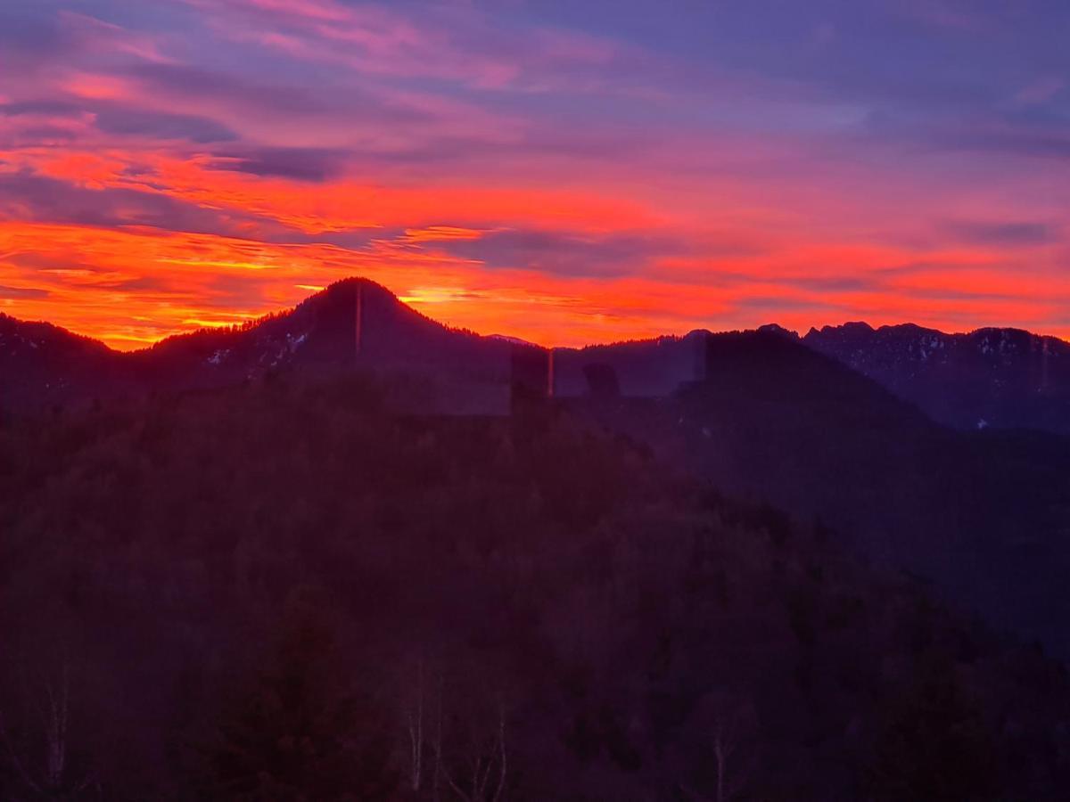 Chalet Chapeau Rar Castel Condino Екстер'єр фото