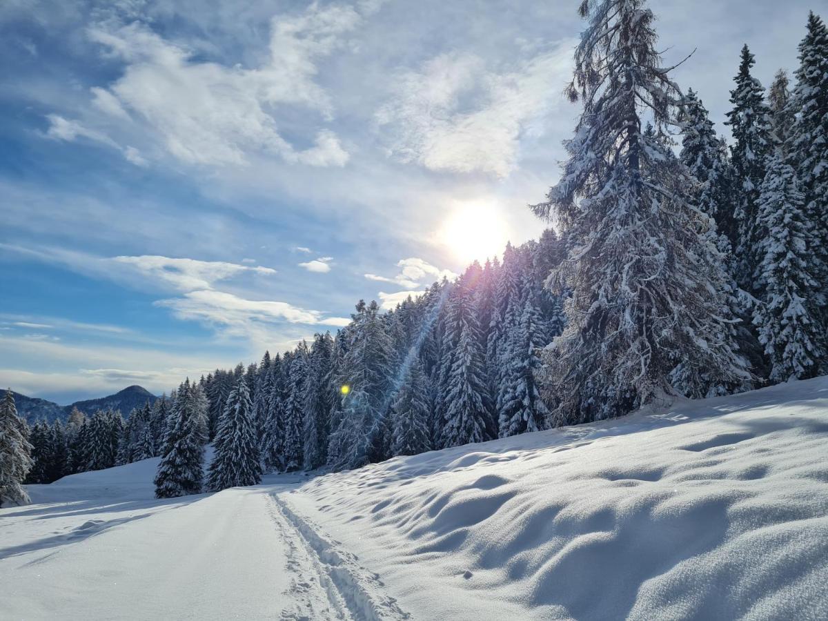 Chalet Chapeau Rar Castel Condino Екстер'єр фото